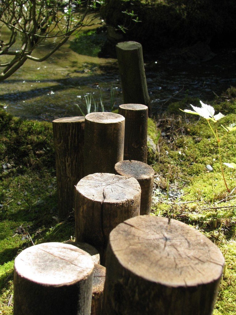 In the Japanese Garden of Portland