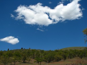 Beautiful Oregon Sky